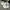 MLB Streetwear Futurist Sneakers Pria White Blue