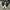 Converse Streetwear Y2K Sneakers Pria white black photo 3