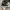 Converse Streetwear Y2K Sneakers Pria white black photo 8