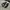 Converse Streetwear Y2K Sneakers Pria white black photo 6