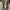 Converse Streetwear Y2K Sneakers Pria white black photo 7