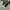 Converse Streetwear Y2K Sneakers Pria white black photo 2