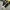 Converse Streetwear Y2K Sneakers Pria White Black