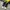 Converse Streetwear Y2K Sneakers Pria white black photo 4