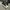 Converse Streetwear Y2K Sneakers Pria white black photo 1