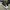 Converse Streetwear Y2K Sneakers Pria White Black