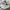 ZARA Minimalist Casual Sweatshirt Wanita white black photo 8
