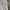 Santa Cruz Skateboards Streetwear Skater T-shirt Pria white photo 8