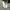 Converse Streetwear Y2K Sneakers Pria white gray photo 2