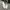 Converse Streetwear Y2K Sneakers Pria White Gray