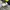 Converse Streetwear Y2K Sneakers Pria white gray photo 5