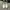 Converse Streetwear Y2K Sneakers Pria white gray photo 3