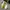 Converse Streetwear Y2K Sneakers Pria white gray photo 4