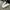 Converse Streetwear Y2K Sneakers Pria white gray photo 1