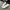 Converse Streetwear Y2K Sneakers Pria White Gray