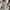 Carhartt Streetwear Y2K T-shirt Pria white gray photo 5