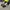 New Balance Streetwear Y2K Sneakers Pria white black photo 2