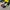 New Balance Streetwear Y2K Sneakers Pria White Black