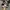 New Balance Streetwear Y2K Sneakers Pria white black photo 6