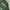 Tultex Vintage Streetwear T-shirt Pria green photo 2