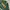 Tultex Vintage Streetwear T-shirt Pria Green