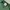 Tultex Vintage Streetwear T-shirt Pria green photo 5