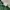 Tultex Vintage Streetwear T-shirt Pria green photo 6