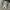 VANS Streetwear Skater Sneakers Pria white gray photo 5