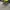 VANS Streetwear Skater Sneakers Pria white gray photo 3