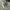 VANS Streetwear Skater Sneakers Pria white gray photo 2