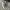 VANS Streetwear Skater Sneakers Pria White Gray