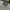 VANS Streetwear Skater Sneakers Pria white gray photo 1