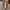 VANS Streetwear Skater Sneakers Pria white gray photo 8