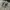 VANS Streetwear Skater Sneakers Pria white gray photo 7