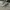 VANS Streetwear Skater Sneakers Pria white gray photo 4