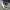 Adidas Sportswear Casual Sneakers Pria white blue photo 4