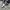 Adidas Sportswear Casual Sneakers Pria white blue photo 2