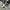 Adidas Sportswear Casual Sneakers Pria White Blue