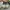 Adidas Streetwear Casual Sneakers Pria multicolor white photo 5