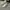 Adidas Streetwear Casual Sneakers Pria multicolor white photo 6