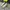 Adidas Streetwear Casual Sneakers Pria multicolor white photo 1