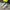 Adidas Streetwear Casual Sneakers Pria Multicolor White