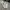 Adidas Streetwear Casual Sneakers Pria multicolor white photo 4