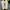 Adidas Streetwear Casual Sneakers Pria multicolor white photo 8