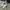 Adidas Streetwear Casual Sneakers Pria multicolor white photo 2