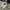 Adidas Streetwear Casual Sneakers Pria Multicolor White