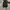 VANS Streetwear Y2K Bag Pria brown black photo 2