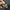 VANS Streetwear Y2K Bag Pria brown black photo 4