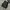 Blackyak Streetwear Futurist Bag Pria black gray photo 2