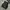 Blackyak Streetwear Futurist Bag Pria Black Gray